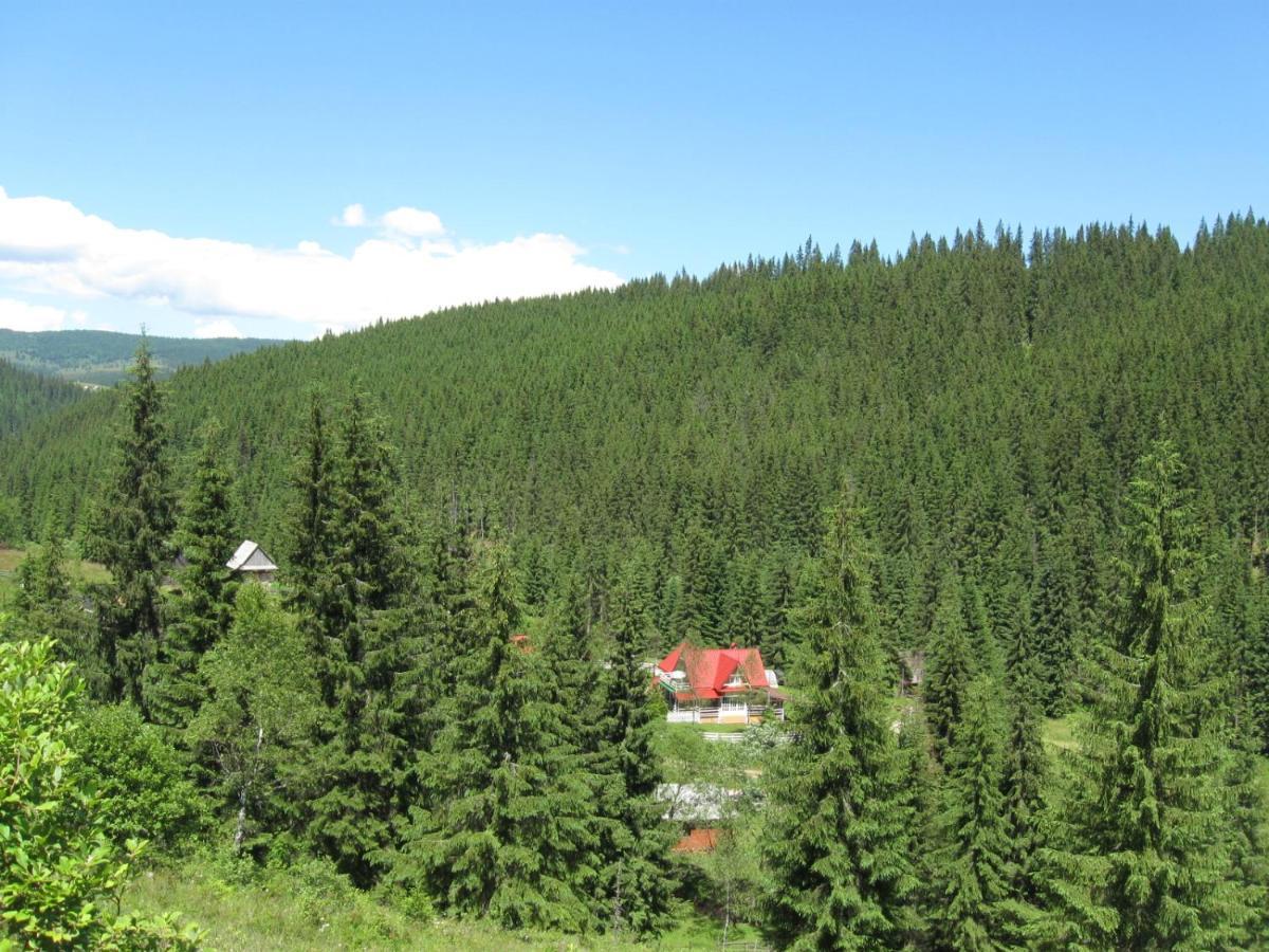 Podina Guest House Poiana Horea Esterno foto