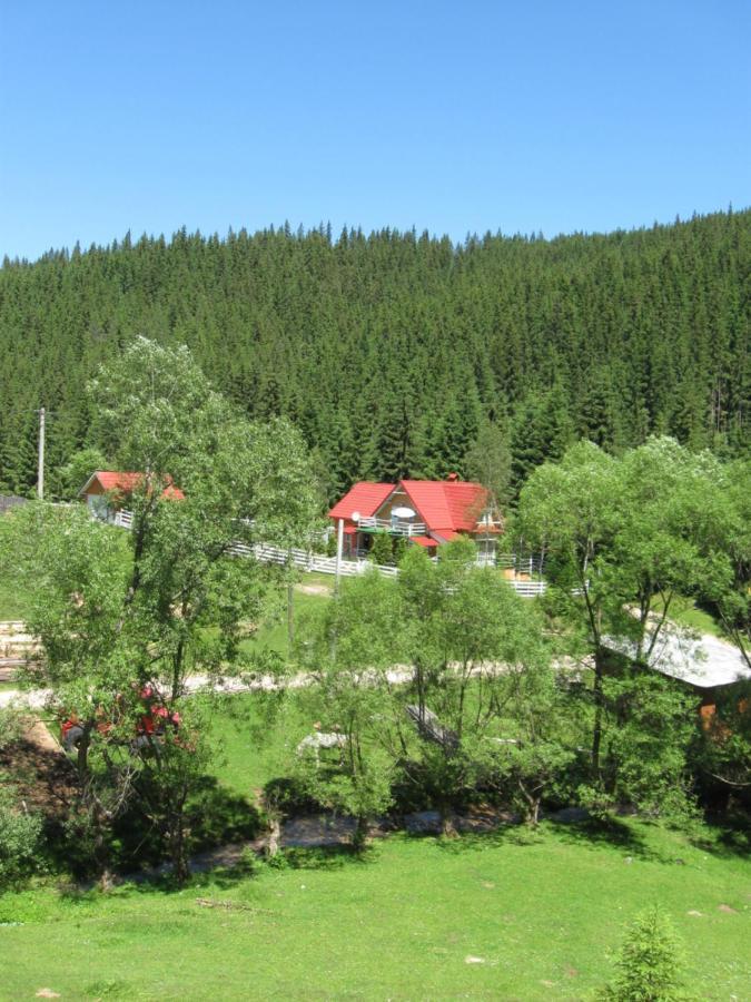 Podina Guest House Poiana Horea Esterno foto