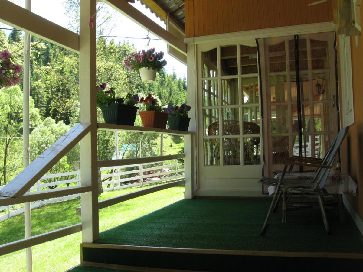 Podina Guest House Poiana Horea Esterno foto