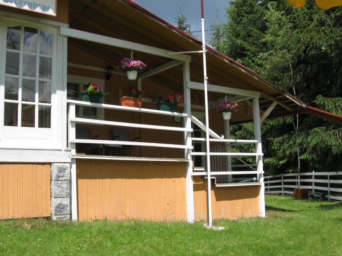 Podina Guest House Poiana Horea Esterno foto